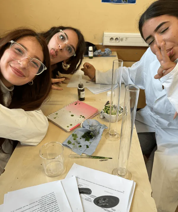 Chromatographie chlorophylienne