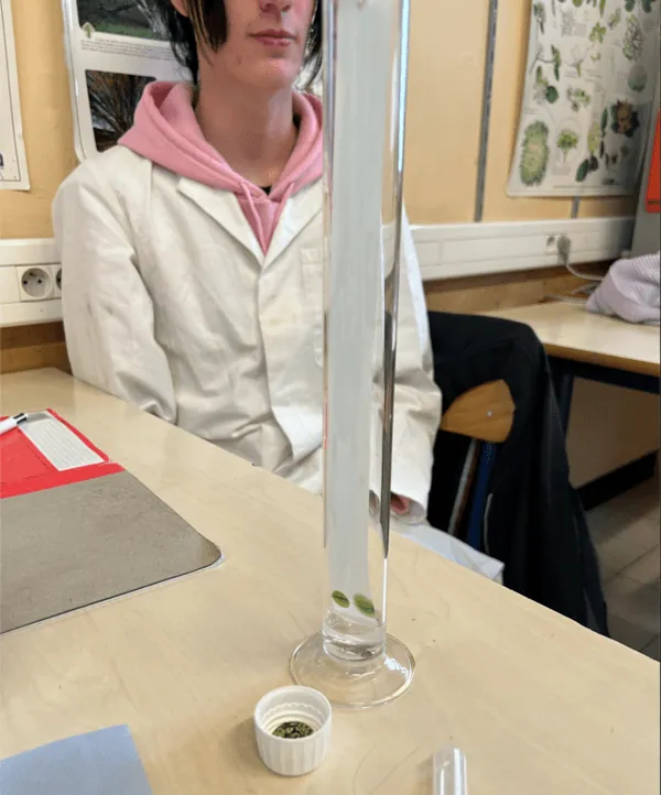 Cuve chromatographie