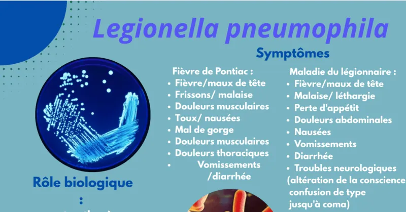 Poster pneumonie
