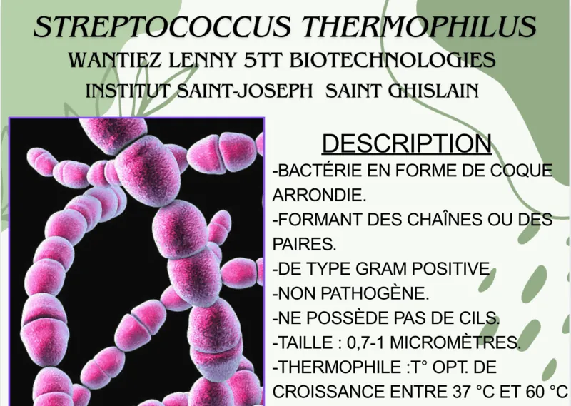 Poster yaourt