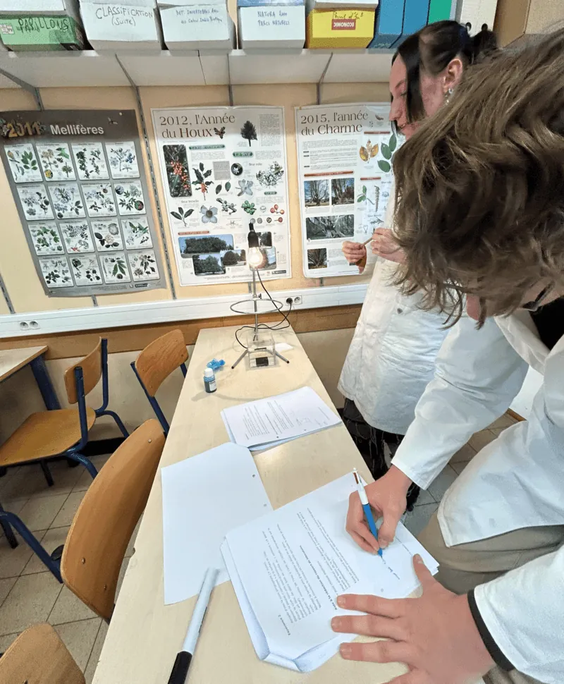 Rapport labo
