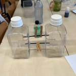 montage-circulation thermohaline